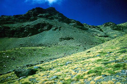 Foto der Hochgebirgsvegetation in der Sierra Nevada, Andalusien